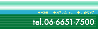 D06-6651-7500